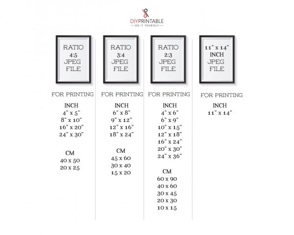 ratiosize scaled