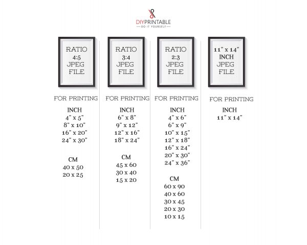 ratiosize scaled