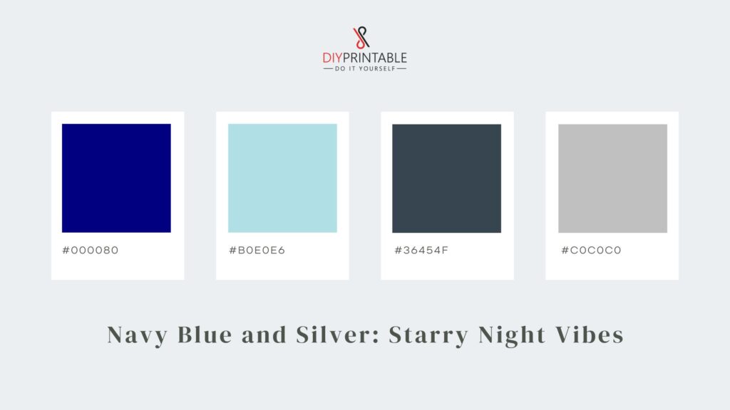 Navy Blue and Silver Starry Night Vibes
Color Palette