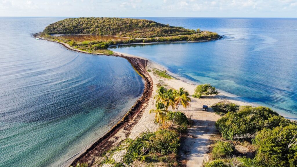 Vieques is a Caribbean island off Puerto Rico